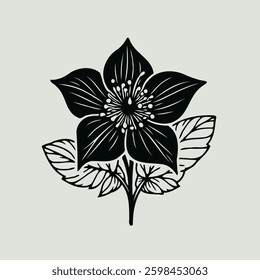 Hand drawn poppy sketch, anemone buds flower, Hellebore leaf, set of spring flowers vector, illustration outline drawing, buttercup botanical black and white line art, lineart leaves and stems