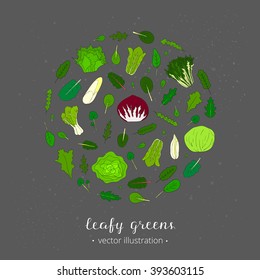 Hand drawn popular types of salad. Leafy greens vegetables in circle. Dandelion, collards, iceberg, arugula, spinach, tango, radicchio, romaine lettuce, corn, frisee, mache, mizuna kale, watercress.