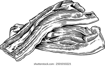 Dibujado a mano ilustración de boceto de vientre de cerdo