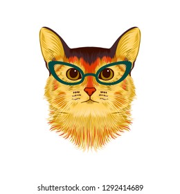 Hand drawn portrait of Abyssinian Cat in glasses. Vector illustration isolated on white.
