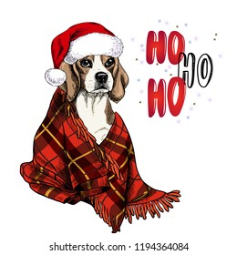 Hand drawn portrait of beagle dog wearing santa hat and plaid blanket. Vector Christmas poster. Xmas greeting card. Winter seasonal celebration. Colored new year pet portrait.