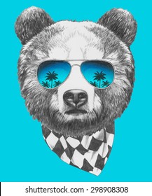 Hand drawn portrait of Bear with sunglasses and scarf. Vector isolated elements.