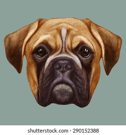 Hand drawn portrait of Boxer dog. Vector