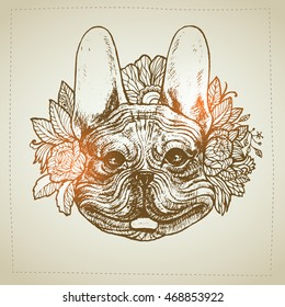 Hand drawn portrait of Bulldog with flower floral. Vectorial isolated elements.