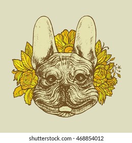 Hand drawn portrait of Bulldog with flower floral. Vectorial isolated elements.