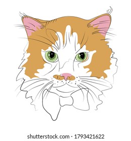 Hand drawn portrait of cat with bow tie isolated on white background. Vector cartoon illustration