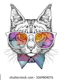 Hand drawn portrait of Cat in glasses with bow tie. Vector illustration isolated on white