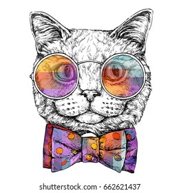 Hand drawn portrait of Cat in glasses with bow tie. Vector illustration isolated on white