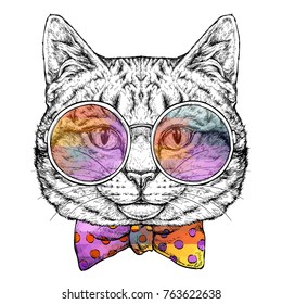 Hand drawn portrait of Cat in glasses with bow tie. Vector illustration isolated on white