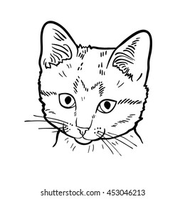 Hand drawn portrait of cat isolated on white background. Art vector illustration.