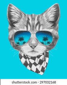 Hand drawn portrait of Cat with mirror sunglasses and scarf. Vector isolated elements.