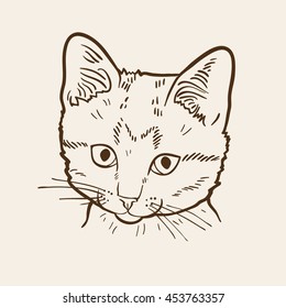 Hand drawn portrait of cat on beige background. Art vector illustration