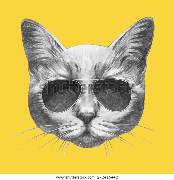 Hand Drawn Portrait Cat Sunglasses Vector Stock Vector (Royalty Free ...