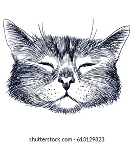 Hand drawn portrait of cat. Vector isolated vintage illustration