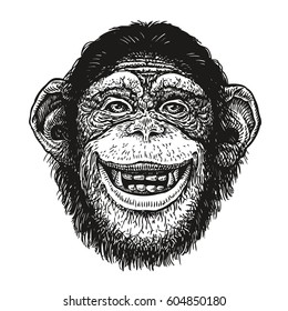 Hand drawn portrait of chimpanzee. Funny monkey, neanderthal man. Sketch vector illustration