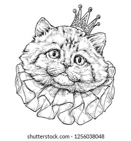 Hand drawn portrait of cute kitten with a princess crown on head. Vector illustration isolated on white