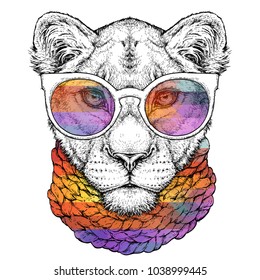 Hand drawn portrait of cute Lioness in glasses and scarf. Vector illustration isolated on white