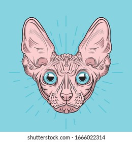 Hand drawn portrait of cute Sphynx cat with engraving style. Vector illustration
