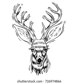 Hand drawn portrait of deer, Vectorial isolated elements vector illustration.