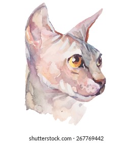 Hand drawn portrait Elegant Sphynx cat. Vector isolated elements. Fashion portrait of cat. Watercolor. Sphinx