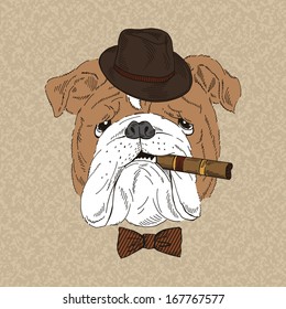 Hand Drawn Portrait of English Bulldog with cigar 