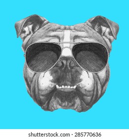 Hand drawn portrait of English Bulldog with sunglasses. Vector isolated elements.