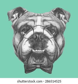 Hand drawn portrait of English Bulldog with glasses and bow tie. Vector isolated elements.