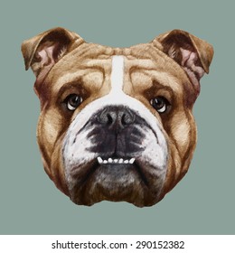 Hand drawn portrait of English Bulldog. Vector