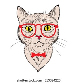 Hand drawn portrait of a fashion cat. Can be used to design for T-shirt, card, poster, invitation. Hipster cat with red glasses and bow tie. Vector illustration