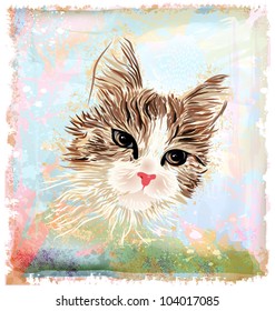 hand drawn portrait of the fluffy cat