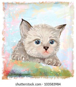 hand drawn portrait of the fluffy kitten  with blue eyes