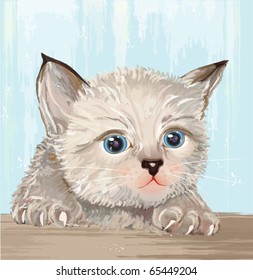 hand drawn portrait of the fluffy kitten  with blue eyes