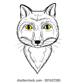 hand drawn portrait of fox, can be used to design for t-shirt, card, poster, vector illustration