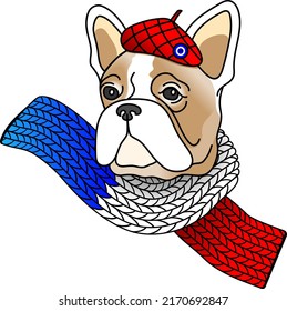 Hand drawn portrait of french bulldog. Head of a french bulldog in a scarf and in a beret in the color of the French flag. Blue, white, red color. Vector illustration.  T-shirt design. 