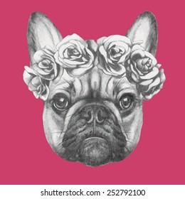 Hand drawn portrait of French Bulldog with roses. Vectorial isolated elements.