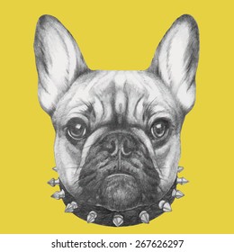 Hand drawn portrait of French Bulldog with collar. Vector isolated elements.