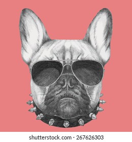 Hand drawn portrait of French Bulldog with collar and sunglasses . Vector isolated elements.