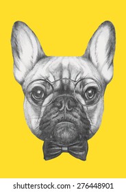 Hand drawn portrait of French Bulldog with glasses and bow tie. Vector isolated elements.