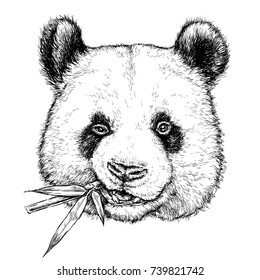 49,986 Panda drawing Images, Stock Photos & Vectors | Shutterstock