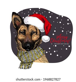 Hand drawn portrait of german shepherd dog wearing Santa hat and knitted scarf. Vector Christmas poster. Xmas greeting card. Winter seasonal celebration. Colored new year pet portrait