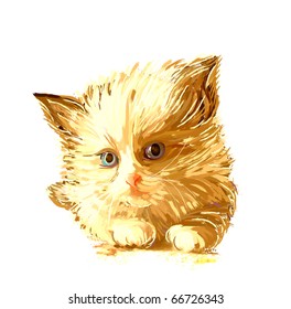 hand drawn portrait of the ginger kitten with blue eyes