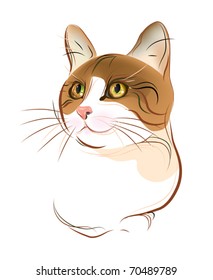 hand drawn portrait of  ginger tabby cat