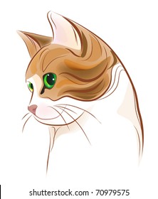 hand drawn portrait of  ginger tabby cat