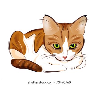 hand drawn portrait of  ginger tabby cat