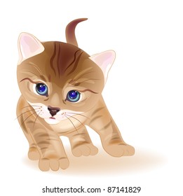 hand drawn  portrait of  ginger tabby kitten. Watercolor  style