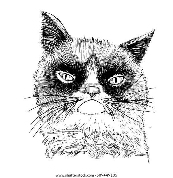 Hand Drawn Portrait Grumpy Cat Stock Vector (Royalty Free) 589449185 ...