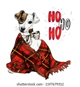 Hand drawn portrait of Jack Russel terrier dog wearing tie bow and plaid blanket. Vector Christmas poster. Xmas greeting card. Winter seasonal celebration. Colored new year pet portrait.