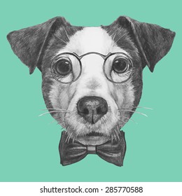 Hand drawn portrait of Jack Russell with glasses and bow tie. Vector isolated elements.