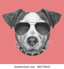 Hand drawn portrait of Jack Russell with collar and sunglasses. Vector isolated elements.