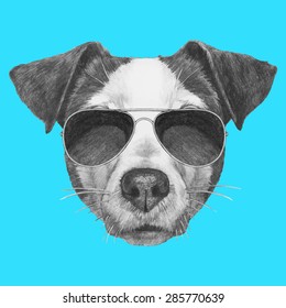 Hand drawn portrait of Jack Russell with sunglasses. Vector isolated elements.